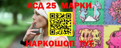 гидра Моздок