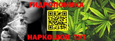 гидра Моздок