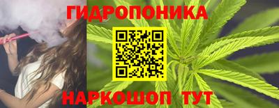 винт Можга