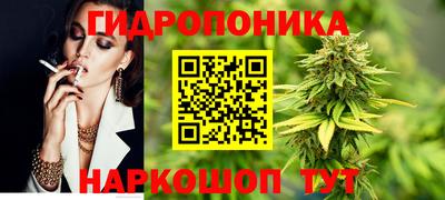 винт Можга