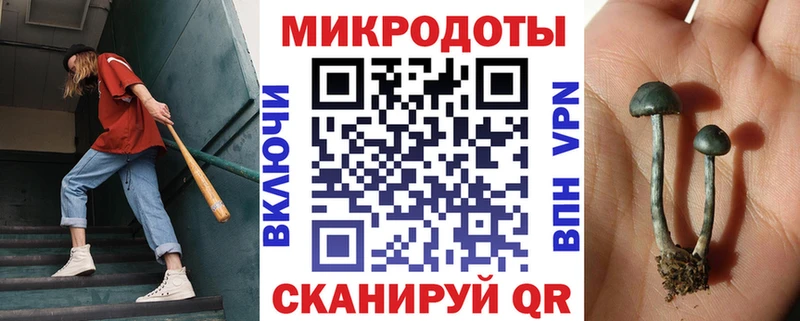 Галлюциногенные грибы Magic Shrooms  купить наркотики сайты  Юрга 