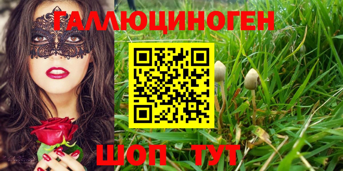 купить наркотики сайты  Вход с VPN  Юрга  Галлюциногенные грибы Psilocybine cubensis  Галлюциногенные грибы мицелий 