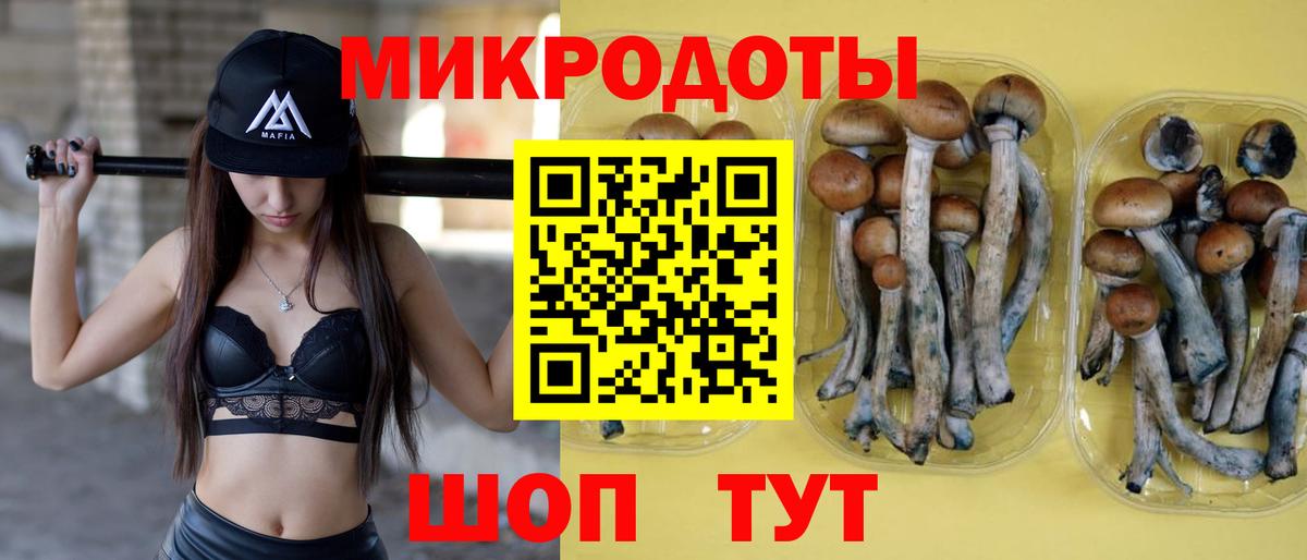 Галлюциногенные грибы MAGIC MUSHROOMS Юрга