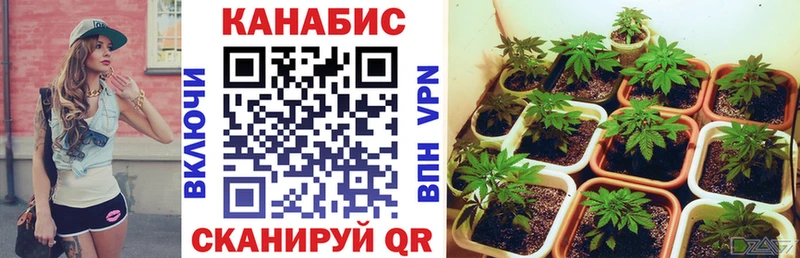 Марихуана марихуана Юрга